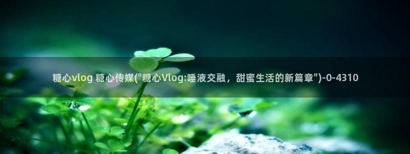 糖心vlog小马:糖心vlog 糖心传媒